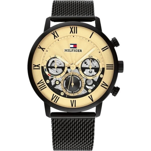 Tommy Hilfiger Men's watch 1710568